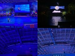 -海合安武汉极地海洋公园