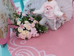 -海合安成都极地海洋公园