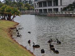 -厦门国家会计学院