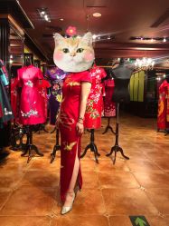 -上海徐(东方新天地店)