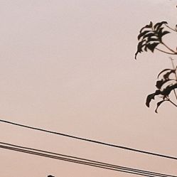 -凡碧诗毛孔收细