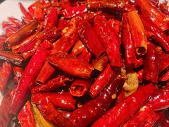 -甄御•海鲜新青岛菜(麦岛店)