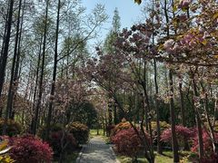 -长广溪湿地公园