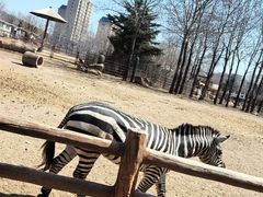 -大连森林动物园