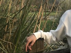 -贵阳市花溪国家城市湿地公园