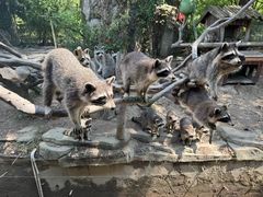 -宁波野生动物园