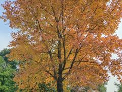 -福建鲤鱼洲酒店