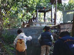 -杭州半山国家森林公园