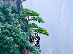 -黄山风景区