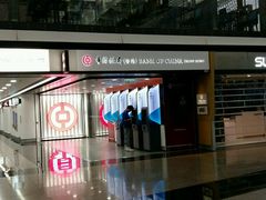 -中国银行（香港香港国际机场分行）(翔天路分行)