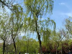 -蜀冈西峰生态公园