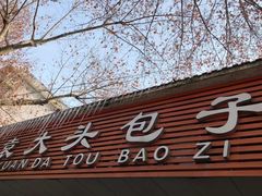 -袁大头包子(光华路店)