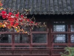 -上海醉白池公园
