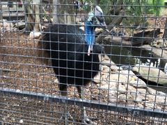 -费瑟代尔野生动物园