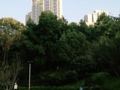 -龙头寺公园