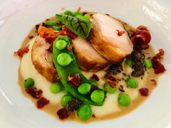 -蝶舍·MAISON PAPILLON