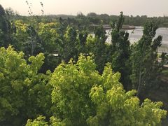-东郊湿地公园