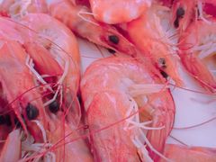 -红月湾海鲜饭店•沙滩海景(双月湾店)
