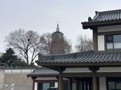 -舍利塔滩地公园-无垢净光舍利塔