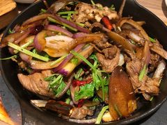 -九毛九西北菜(番禺万达店)