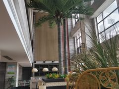 -齐河孔雀王温泉酒店·金孔雀自助百汇