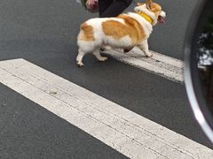 -桂林站