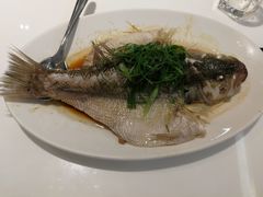 -至潮餐厅精致粤菜·活鲈鱼·走地鸡(珠江新城店)