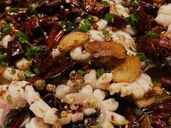 -三猫黑鱼花(南大店)
