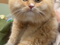 -瑞派康怡24h宠物医院·犬猫医疗中心·微创绝育(瑞景分院)