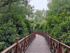 -大亚湾红树林城市湿地公园