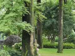 -家烧面馆【南山路知名经典面食】