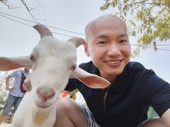 -前小桔亲子创意农场·草莓采摘·露营烧烤