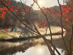 -田野绿世界
