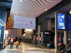 -新影联·华谊兄弟影院(望京店)