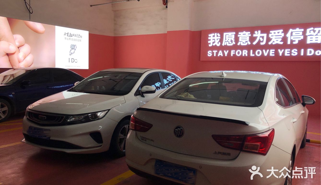 我愿意为爱停留