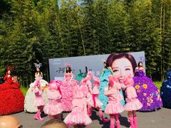 -黄海国家森林公园