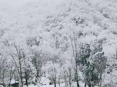 -秦岭终南山世界地质公园翠华山景区