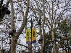 -东湖落雁景区