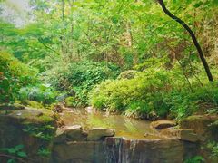 -杭州半山国家森林公园