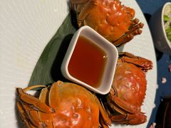 -老吉堂上海本帮菜(工体店)