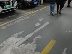 -日月光中心-停车场