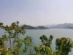 -望湖烤鱼