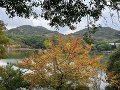 -白马涧龙池景区
