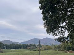 -敬亭山风景名胜区