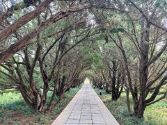 -洛阳古墓博物馆