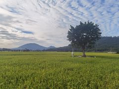 -风云岭森林公园