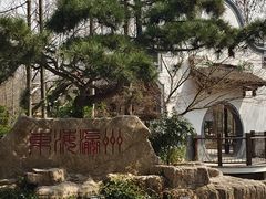 -东平国家森林公园