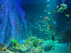 -沈阳海洋探索中心