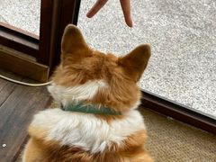 -肥朵食堂(带梦胡同店)