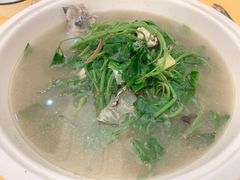 -东兴黄鳝饭店(江洲店)